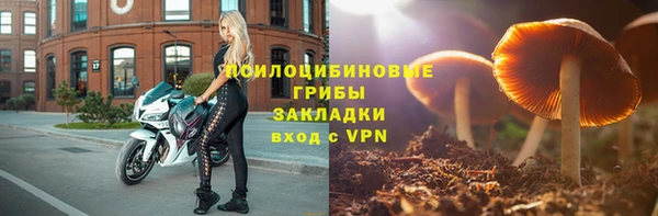 спиды Гусь-Хрустальный