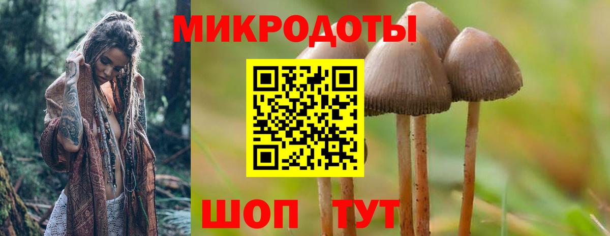 Псилоцибиновые грибы MAGIC MUSHROOMS  Нурлат 