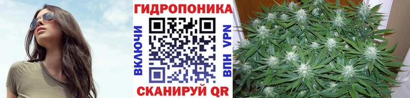 где купить наркоту  Нурлат  Бошки марихуана ГИДРОПОН 